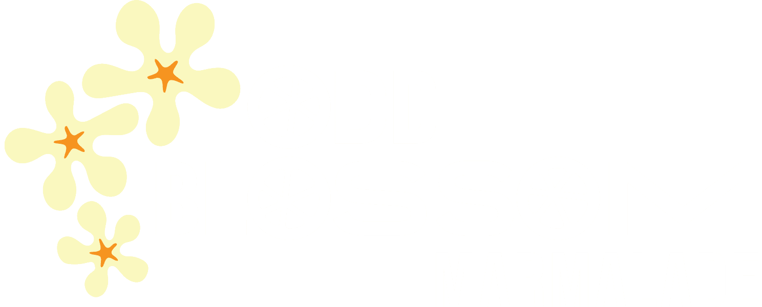 Odd Blossom Marmalade horizontal logo